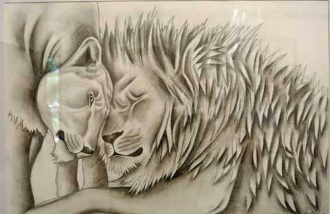 Bellingen Community Arts Council Inc - Renee 0