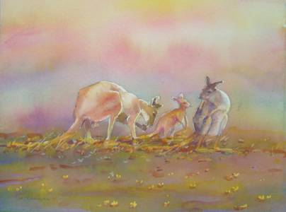 Territory Colours - Renee 1