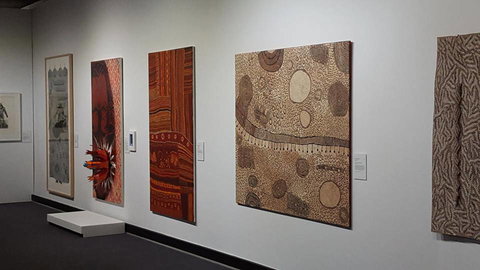 Museum & Art Gallery Of The Northern Territory - Swimm 0