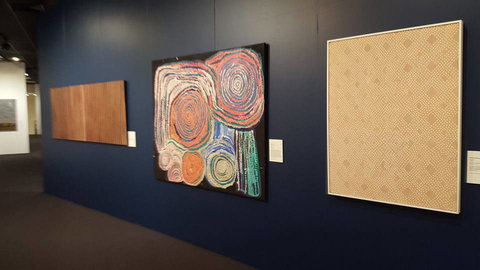 Museum & Art Gallery Of The Northern Territory - Swimm 3