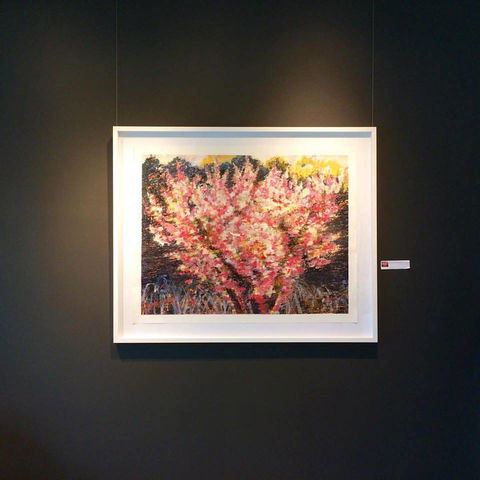 Gallery One - Renee 1