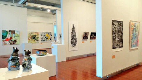 Muswellbrook Regional Arts Centre - Swimm 3