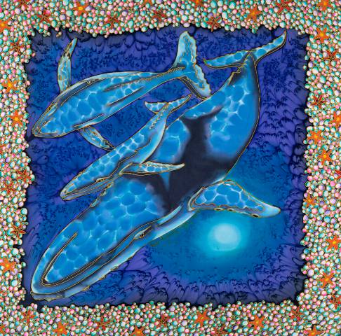 Art Galleries Ballina NSW Qld Realsetate