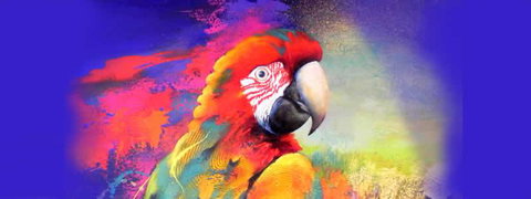 Tina Cooper Gallery - Internet Find 2