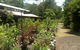 Fairhill Native Plants Retail - thumb 0