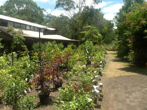 Fairhill Native Plants Retail - Internet Find 0