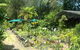 Fairhill Native Plants Retail - thumb 1