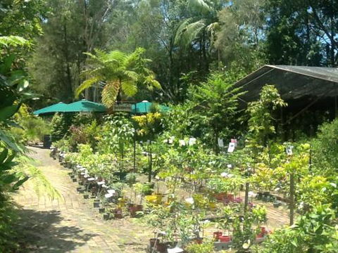 Fairhill Native Plants Retail - Internet Find 1
