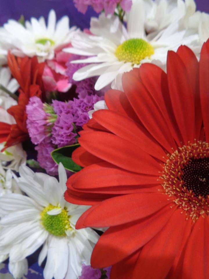 Art Galleries Golden Beach QLD Renee