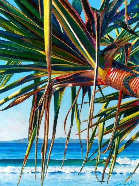 Art Galleries Noosa Heads QLD Swimm