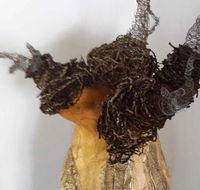 Caldera Art Gallery - Renee