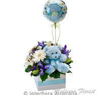 Malpara Florist - Renee