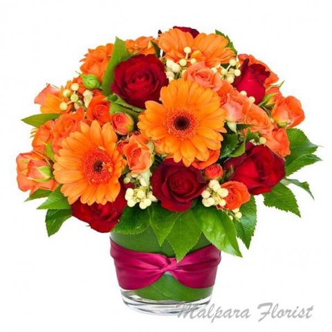 Malpara Florist - Renee 1