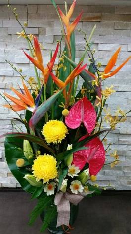 Florists Banora Point NSW Qld Realsetate