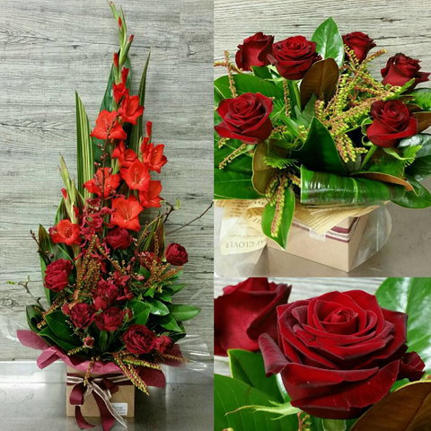 Blossoms Of Tweed Banora - Swimm 3