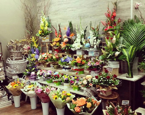 Blossoms Of Tweed Banora - Swimm 4