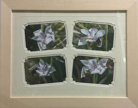 Brotish Picture Framing - Renee 2