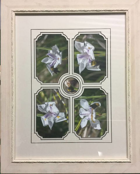 Brotish Picture Framing - Renee 3