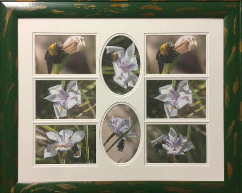 Brotish Picture Framing - Renee 4