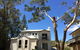 Almighty Trees & Demolition - thumb 1
