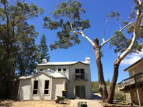 Almighty Trees & Demolition - Renee 1
