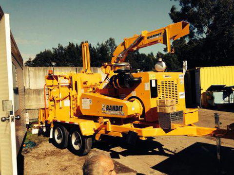 Almighty Trees & Demolition - Renee 8