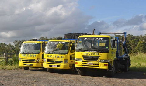 Suncoast Skips - Internet Find 3