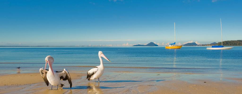 Body Corporate Management Nelson Bay NSW Renee