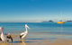 L J Hooker Nelson Bay - thumb 0