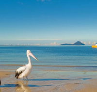 L J Hooker Nelson Bay - Internet Find
