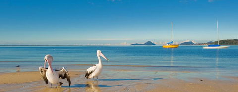 L J Hooker Nelson Bay - Internet Find 0