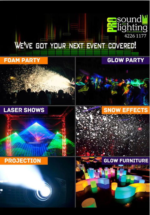 Pro Sound And Lighting - Renee 4