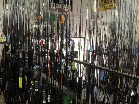 West Gosford Bait & Tackle - Renee 2