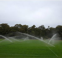 Sweeneys Pumps  Irrigation - Renee