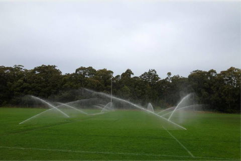 Sweeney’s Pumps & Irrigation - Renee 0