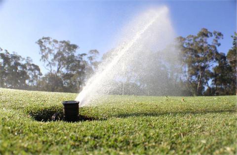 Sweeney’s Pumps & Irrigation - Renee 3