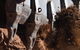 2MT Mining Products - thumb 1