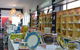 Porters Mitre 10 Mackay City - thumb 3