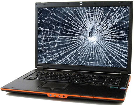 Aljam Computer Services - Renee 0