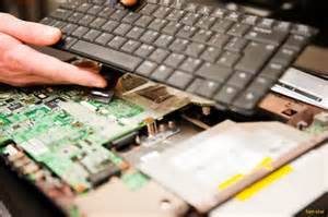 Aljam Computer Services - Renee 1