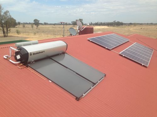 Irrigation Sprinkler Systems Renee