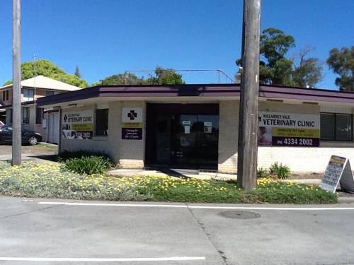 Vets Killarney Vale NSW Renee