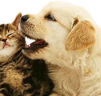 One Stop Pet Supplies - Renee