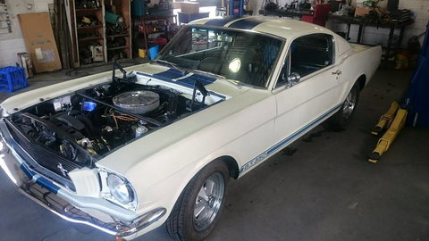 Dougall's Auto Electrical - Renee 2