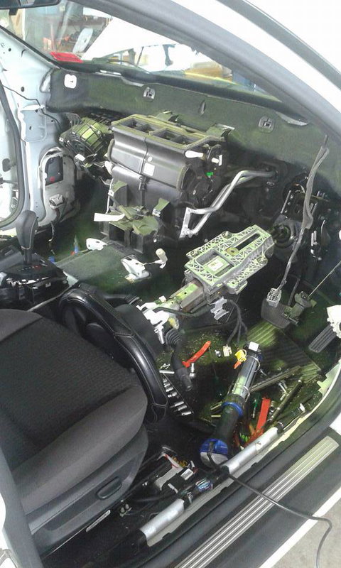 Dougall's Auto Electrical - Renee 3