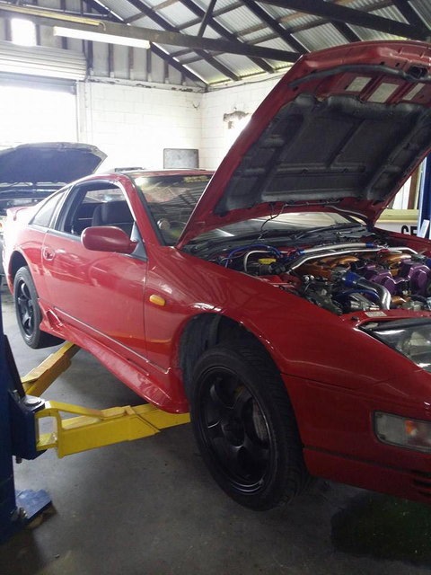 Dougall's Auto Electrical - Renee 4