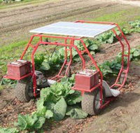 12 Volt Solar Systems - Renee