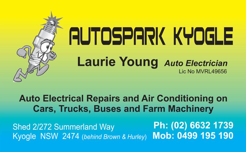 Auto Electricians Kyogle NSW Renee