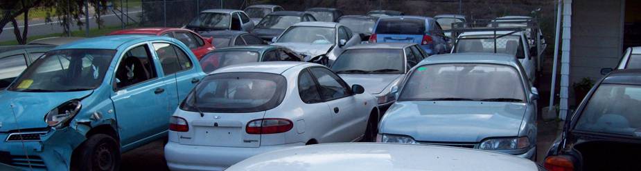Auto Wreckers Cardiff NSW Renee