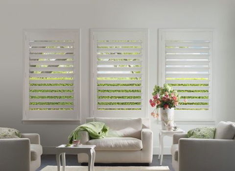 In Curtains & Blinds - Renee 4